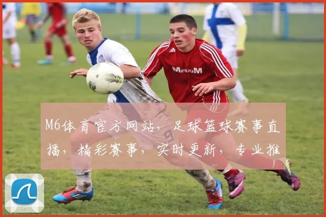 M6体育官方网站，足球篮球赛事直播，精彩赛事，实时更新，专业推荐，不容错过，尽在M6
